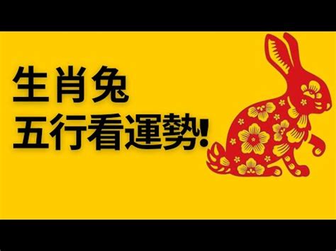 屬兔的五行|【兔五行】揭曉兔年的五行玄機：屬兔的五行屬啥？缺什麼一次搞。